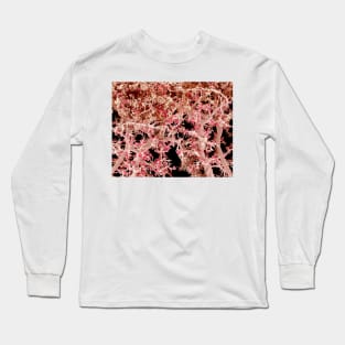 Kidney blood vessels, SEM (C022/7915) Long Sleeve T-Shirt